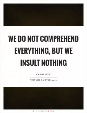 We do not comprehend everything, but we insult nothing Picture Quote #1