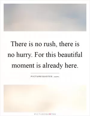 There is no rush, there is no hurry. For this beautiful moment is already here Picture Quote #1
