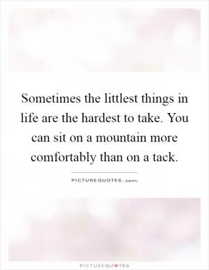 Sometimes the littlest things in life are the hardest to take. You can sit on a mountain more comfortably than on a tack Picture Quote #1
