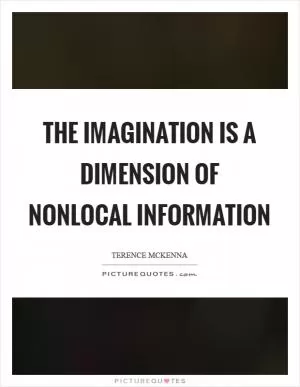 The imagination is a dimension of nonlocal information Picture Quote #1