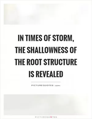 In times of storm, the shallowness of the root structure is revealed Picture Quote #1