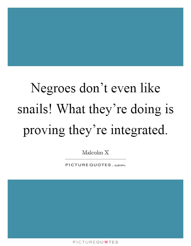 Negroes don't even like snails! What they're doing is proving they're integrated Picture Quote #1