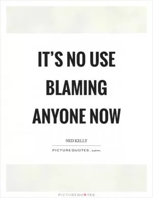 It’s no use blaming anyone now Picture Quote #1