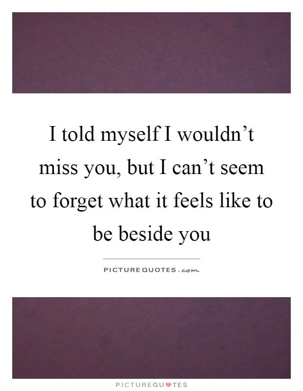 I told myself I wouldn't miss you, but I can't seem to forget what it feels like to be beside you Picture Quote #1