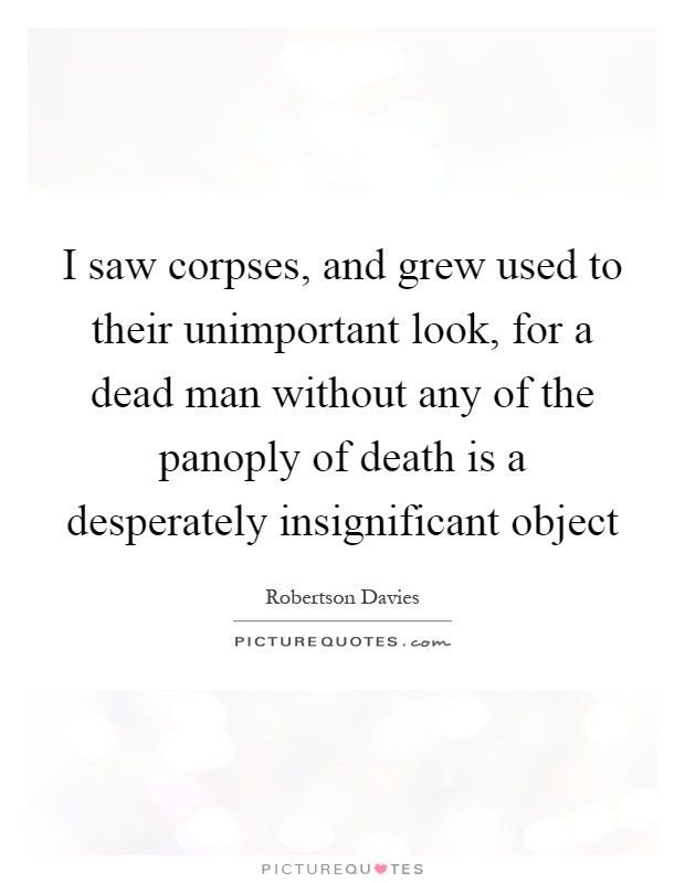 I saw corpses, and grew used to their unimportant look, for a dead man without any of the panoply of death is a desperately insignificant object Picture Quote #1