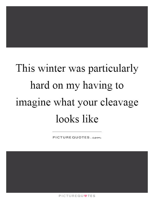 This winter was particularly hard on my having to imagine what your cleavage looks like Picture Quote #1