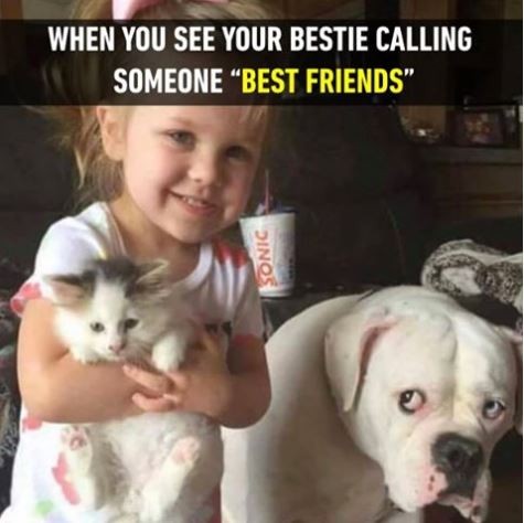 When you see your bestie calling someone “Best Friends” Picture Quote #1