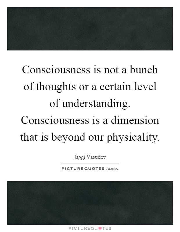 Consciousness is not a bunch of thoughts or a certain level of understanding. Consciousness is a dimension that is beyond our physicality Picture Quote #1