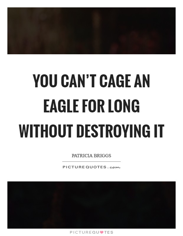 You can't cage an eagle for long without destroying it Picture Quote #1