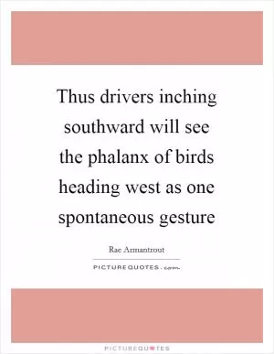 Thus drivers inching southward will see the phalanx of birds heading west as one spontaneous gesture Picture Quote #1