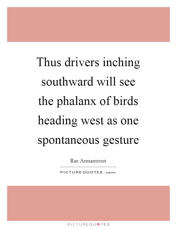 Thus drivers inching southward will see the phalanx of birds heading west as one spontaneous gesture Picture Quote #1