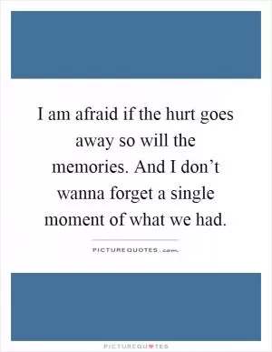 I am afraid if the hurt goes away so will the memories. And I don’t wanna forget a single moment of what we had Picture Quote #1