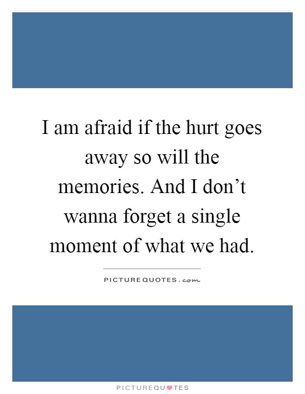 I am afraid if the hurt goes away so will the memories. And I don't wanna forget a single moment of what we had Picture Quote #1