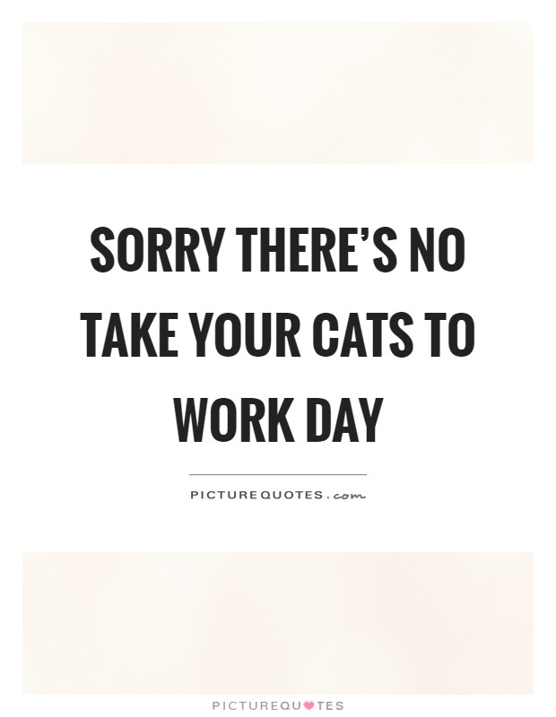 Sorry there's no take your cats to work day Picture Quote #1