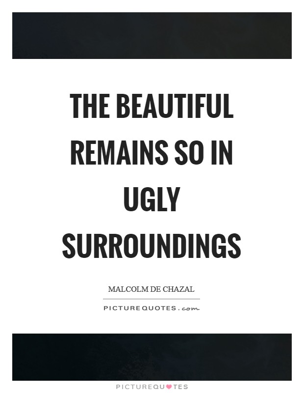 The beautiful remains so in ugly surroundings Picture Quote #1