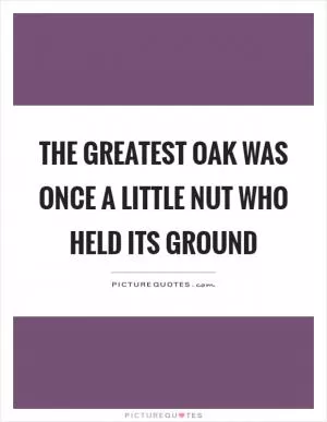The greatest oak was once a little nut who held its ground Picture Quote #1