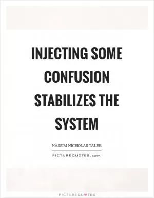 Injecting some confusion stabilizes the system Picture Quote #1
