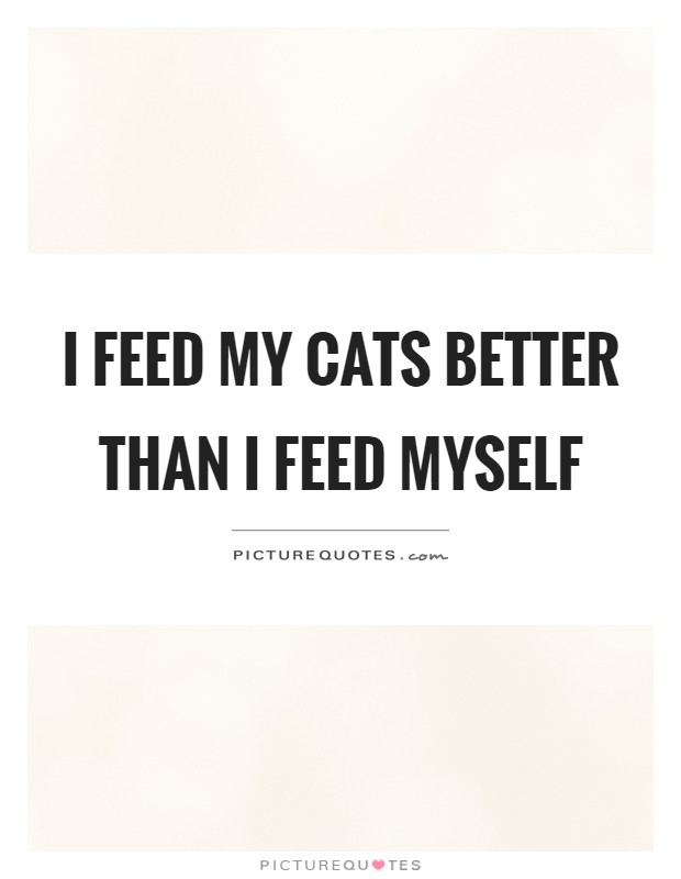 I feed my cats better than I feed myself Picture Quote #1