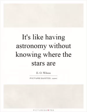 It's like having astronomy without knowing where the stars are Picture Quote #1