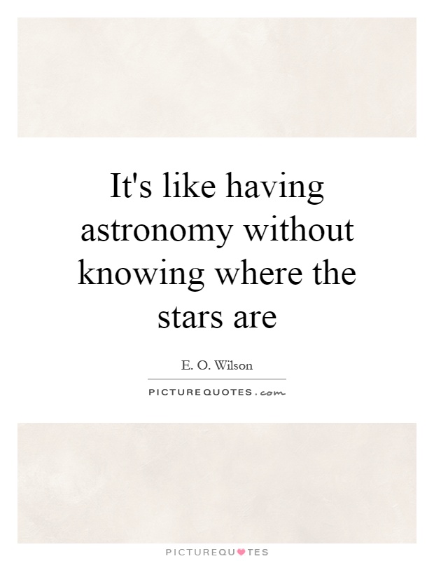 It's like having astronomy without knowing where the stars are Picture Quote #1