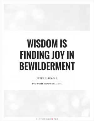 Wisdom is finding joy in bewilderment Picture Quote #1