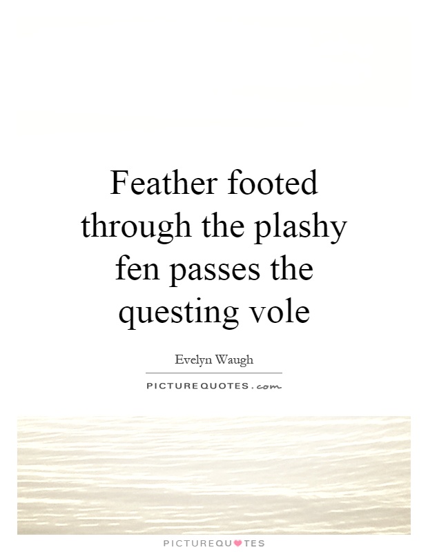 Feather footed through the plashy fen passes the questing vole Picture Quote #1