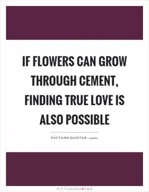 If flowers can grow through cement, finding true love is also possible Picture Quote #1