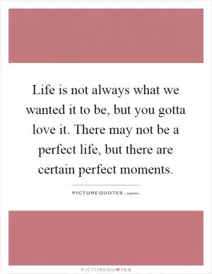 Life is not always what we wanted it to be, but you gotta love it. There may not be a perfect life, but there are certain perfect moments Picture Quote #1