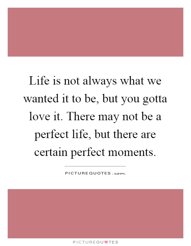 Life is not always what we wanted it to be, but you gotta love it. There may not be a perfect life, but there are certain perfect moments Picture Quote #1