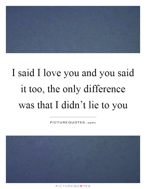 I said I love you and you said it too, the only difference was that I didn't lie to you Picture Quote #1
