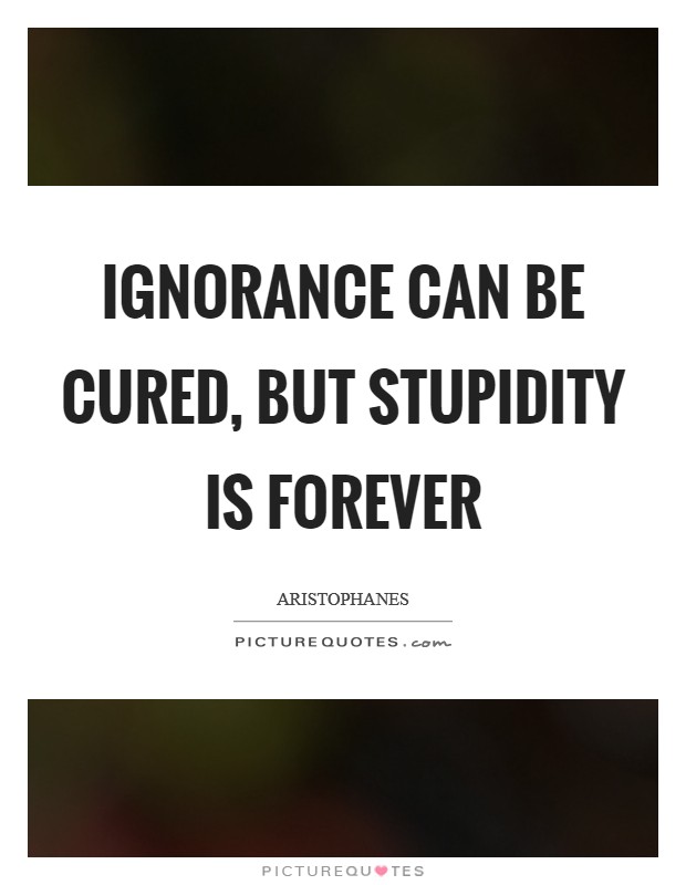 Ignorance can be cured, but stupidity is forever Picture Quote #1