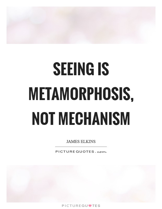 Seeing is metamorphosis, not mechanism Picture Quote #1