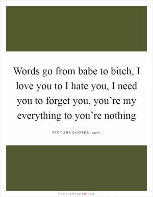 Words go from babe to bitch, I love you to I hate you, I need you to forget you, you’re my everything to you’re nothing Picture Quote #1