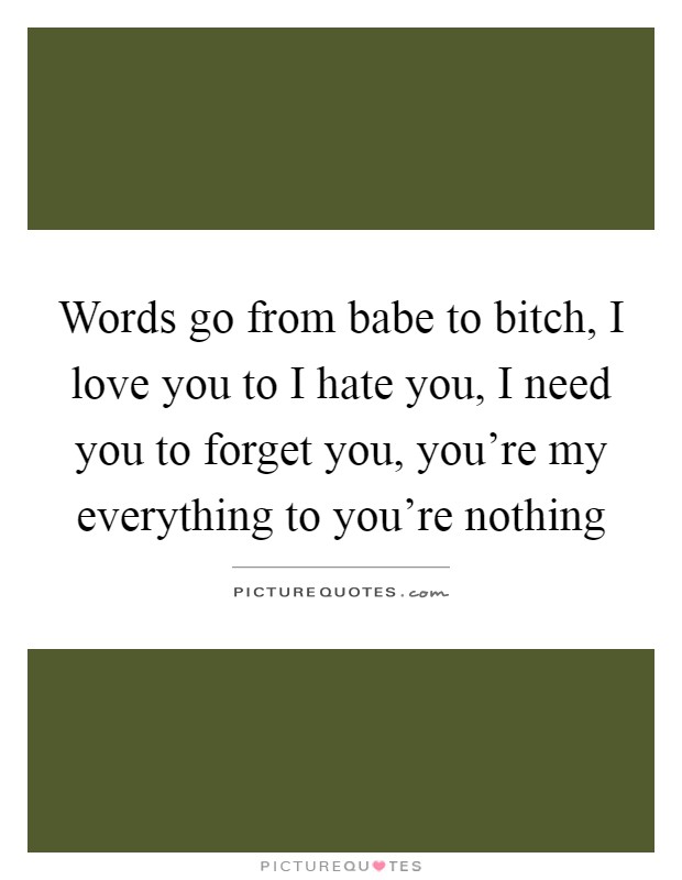 Words go from babe to bitch, I love you to I hate you, I need you to forget you, you're my everything to you're nothing Picture Quote #1