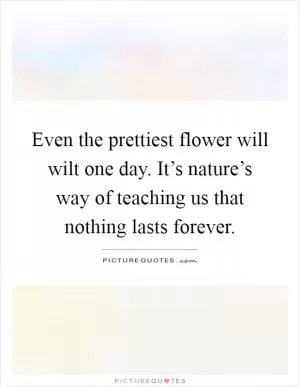 Even the prettiest flower will wilt one day. It’s nature’s way of teaching us that nothing lasts forever Picture Quote #1