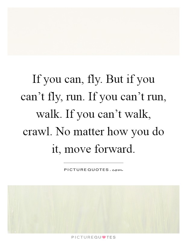 If you can, fly. But if you can't fly, run. If you can't run, walk. If you can't walk, crawl. No matter how you do it, move forward Picture Quote #1