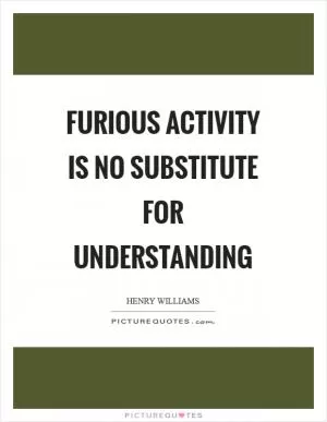Furious activity is no substitute for understanding Picture Quote #1