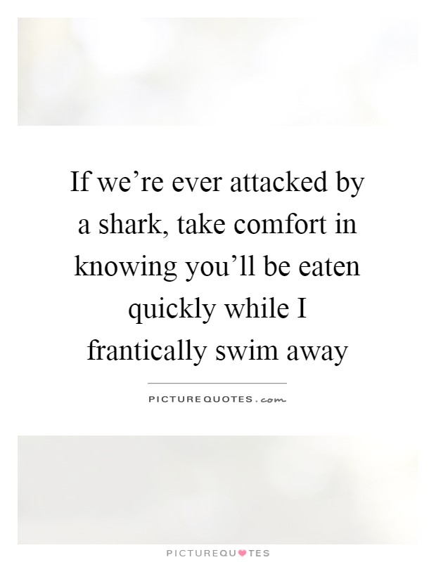 If we're ever attacked by a shark, take comfort in knowing you'll be eaten quickly while I frantically swim away Picture Quote #1