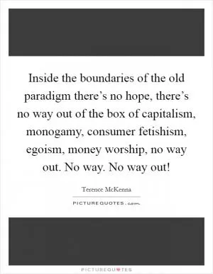 Inside the boundaries of the old paradigm there’s no hope, there’s no way out of the box of capitalism, monogamy, consumer fetishism, egoism, money worship, no way out. No way. No way out! Picture Quote #1