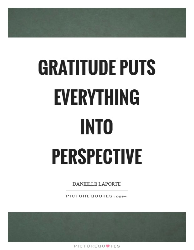 Gratitude puts everything into perspective Picture Quote #1