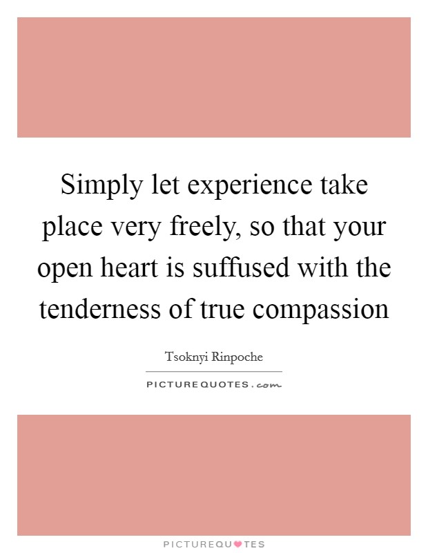 Simply let experience take place very freely, so that your open heart is suffused with the tenderness of true compassion Picture Quote #1