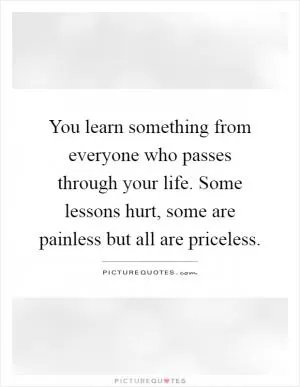 You learn something from everyone who passes through your life. Some lessons hurt, some are painless but all are priceless Picture Quote #1