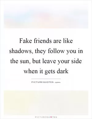 Fake friends are like shadows, they follow you in the sun, but leave your side when it gets dark Picture Quote #1