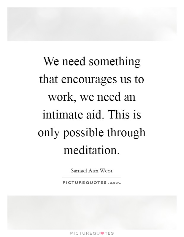 We need something that encourages us to work, we need an intimate aid. This is only possible through meditation Picture Quote #1