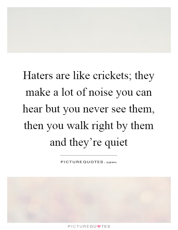 Haters are like crickets; they make a lot of noise you can hear but you never see them, then you walk right by them and they're quiet Picture Quote #1