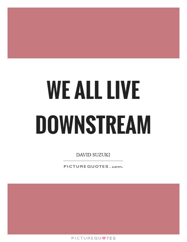 We all live downstream Picture Quote #1