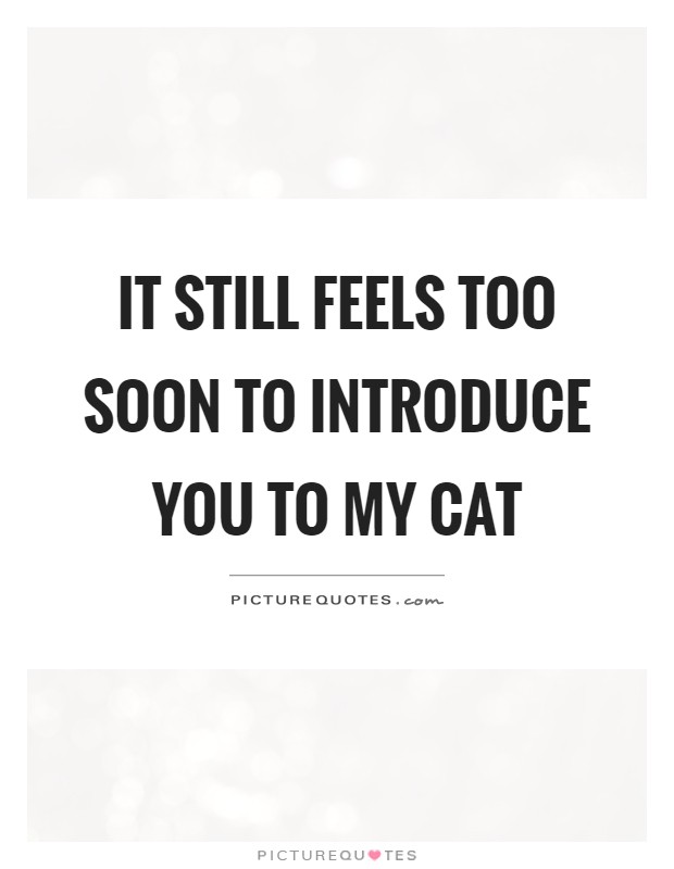 It still feels too soon to introduce you to my cat Picture Quote #1
