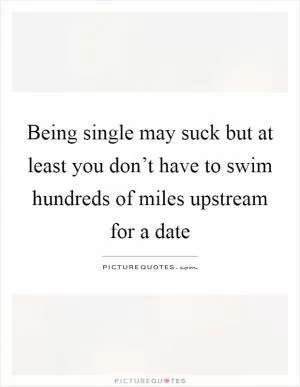 Being single may suck but at least you don’t have to swim hundreds of miles upstream for a date Picture Quote #1