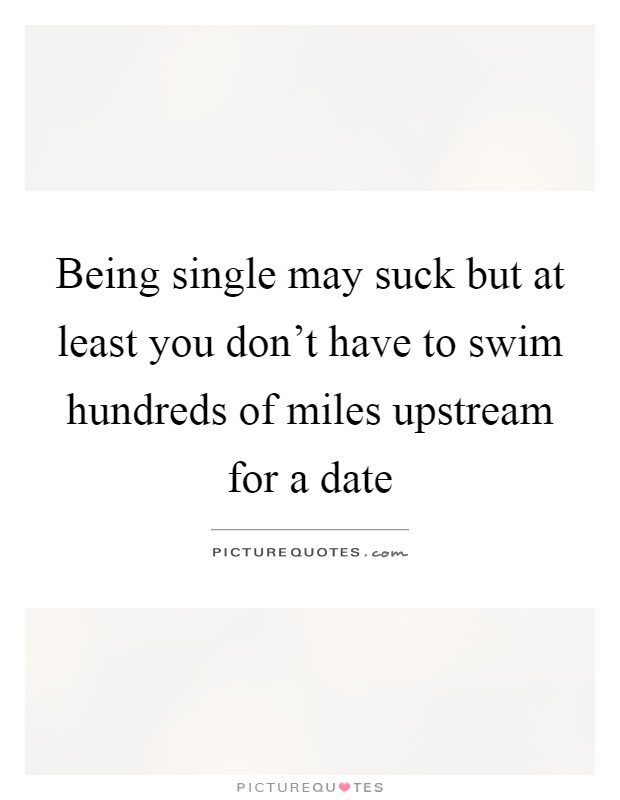 Being single may suck but at least you don't have to swim hundreds of miles upstream for a date Picture Quote #1