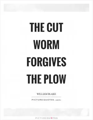 The cut worm forgives the plow Picture Quote #1